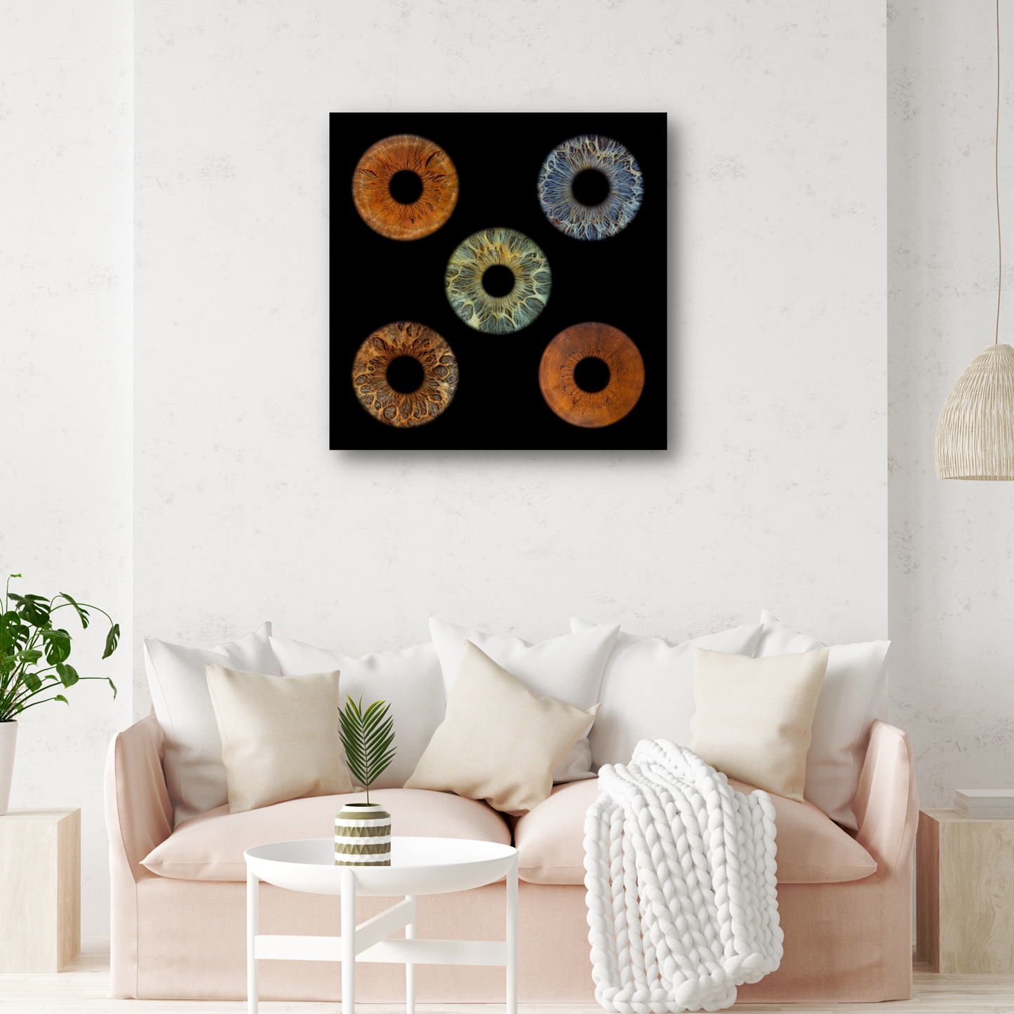 acrylic 5 iris picture, Iris Photographie