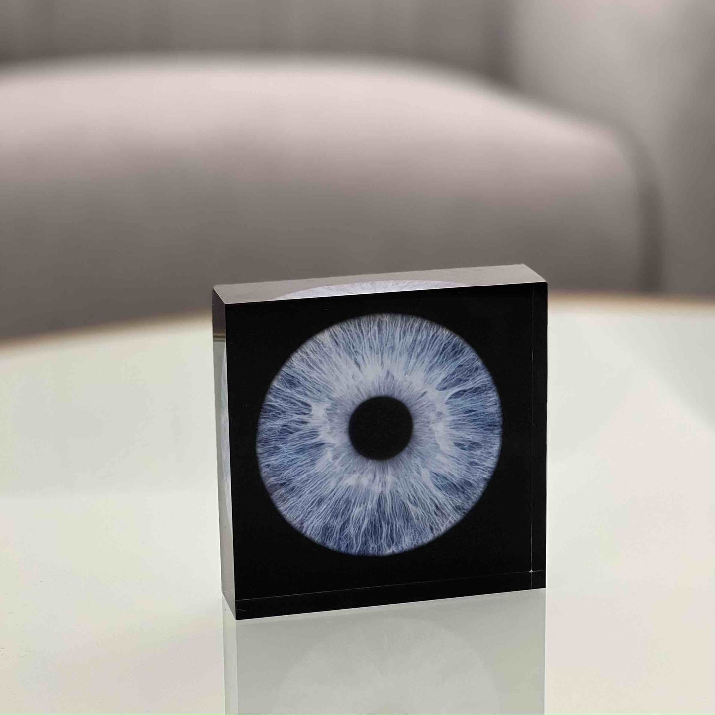 Bloc Iris Plexi