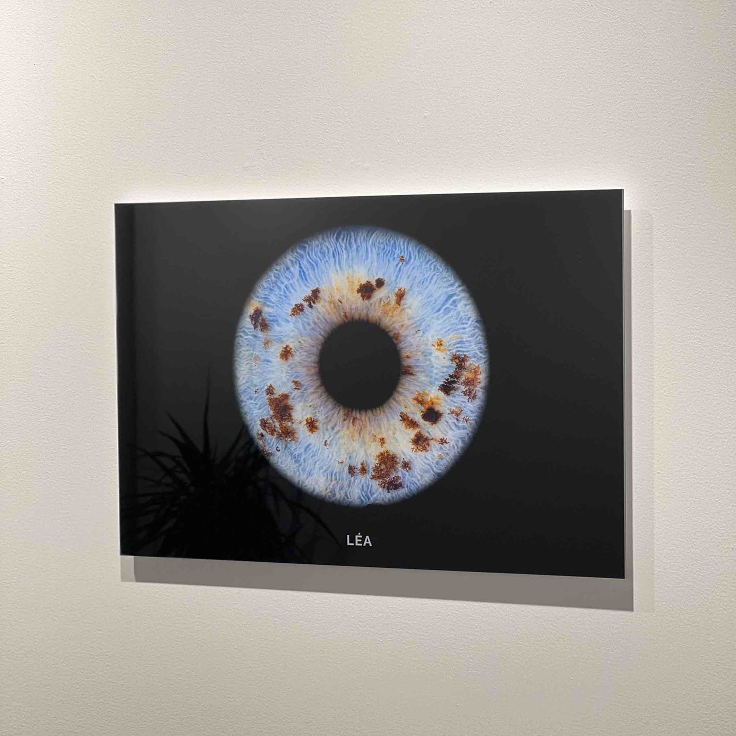 1 iris en Verre acrylique haut de gamme