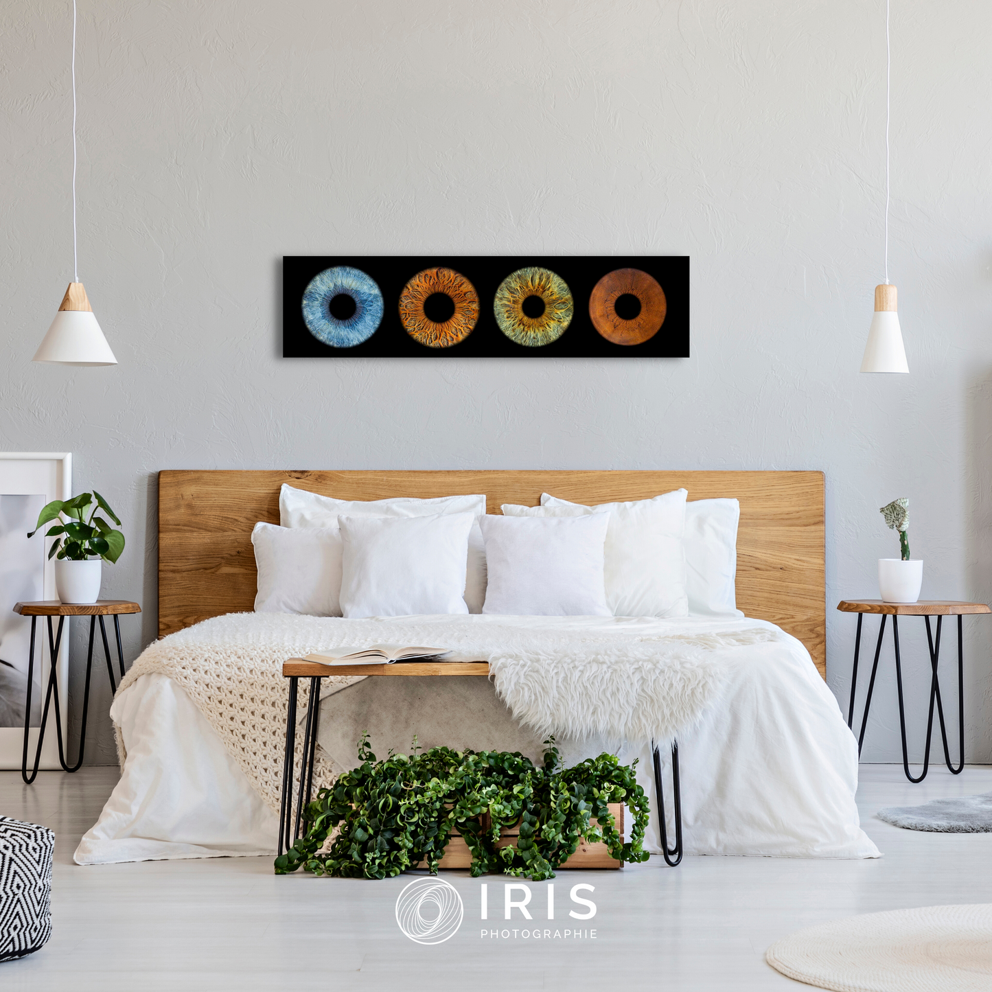 4 iris en Verre acrylique haut de gamme